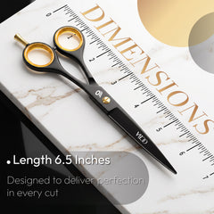 OCBA Professional Hairdressing Scissor
